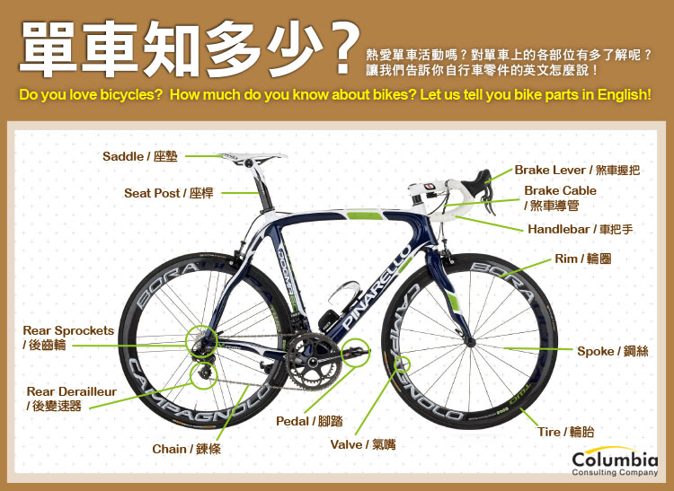 單車知多少？ Are you sure you know your bicycles?