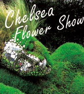 英國倫敦雀兒喜花展 Chelsea Flower Show