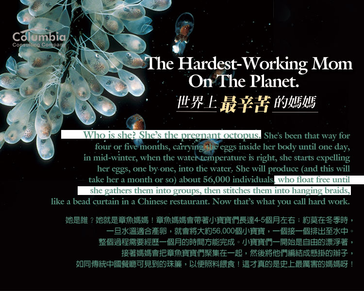 世界上最辛苦的母親 The Hardest-Working Mom On The Planet