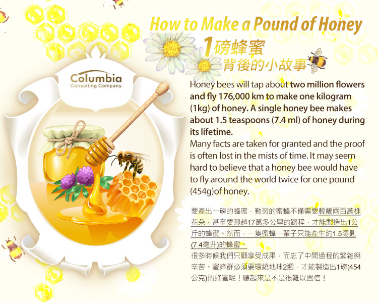1磅蜂蜜背後的小故事 How to Make a Pound of Honey?