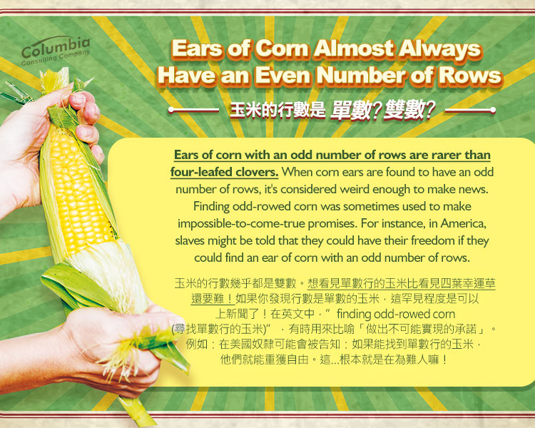 玉米是單數？雙數？ Ears of Corn Almost Always Have an..