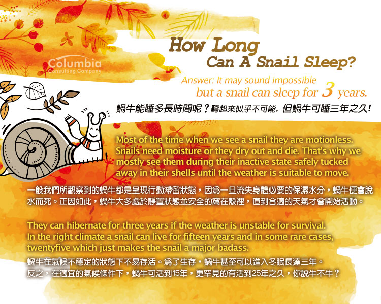 蝸牛能睡多長時間呢？ How Long Can A Snail Sleep? 