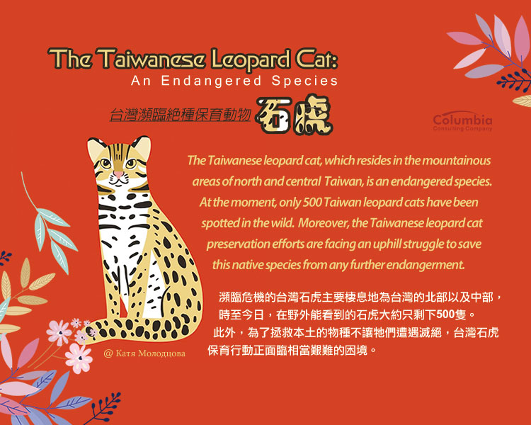 台灣瀕臨絕種動物.. The Taiwanese Leopard Cat..