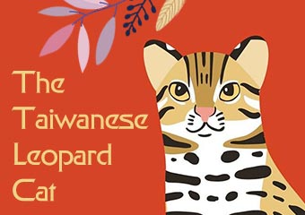 台灣瀕臨絕種動物.. The Taiwanese Leopard Cat..