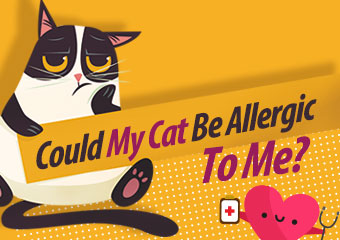 我的貓可能對我過敏? Could My Cat Be Allergic..