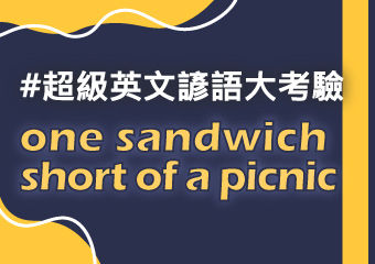 是愚蠢還是三明治？ one sandwich short of a picnic
